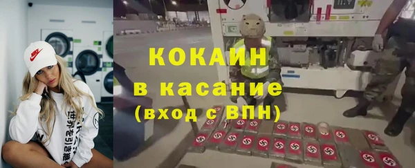 твердый Богородск