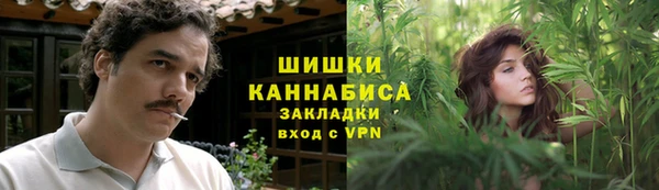 твердый Богородск