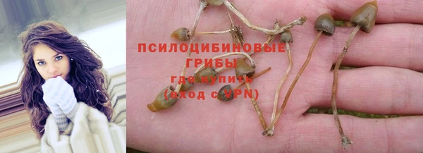 твердый Богородск