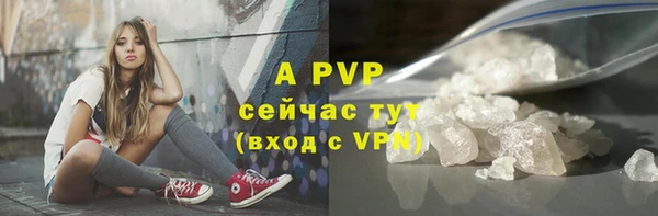 тгк Богданович