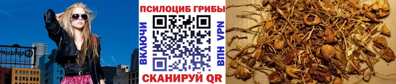 Псилоцибиновые грибы GOLDEN TEACHER  Белоусово 